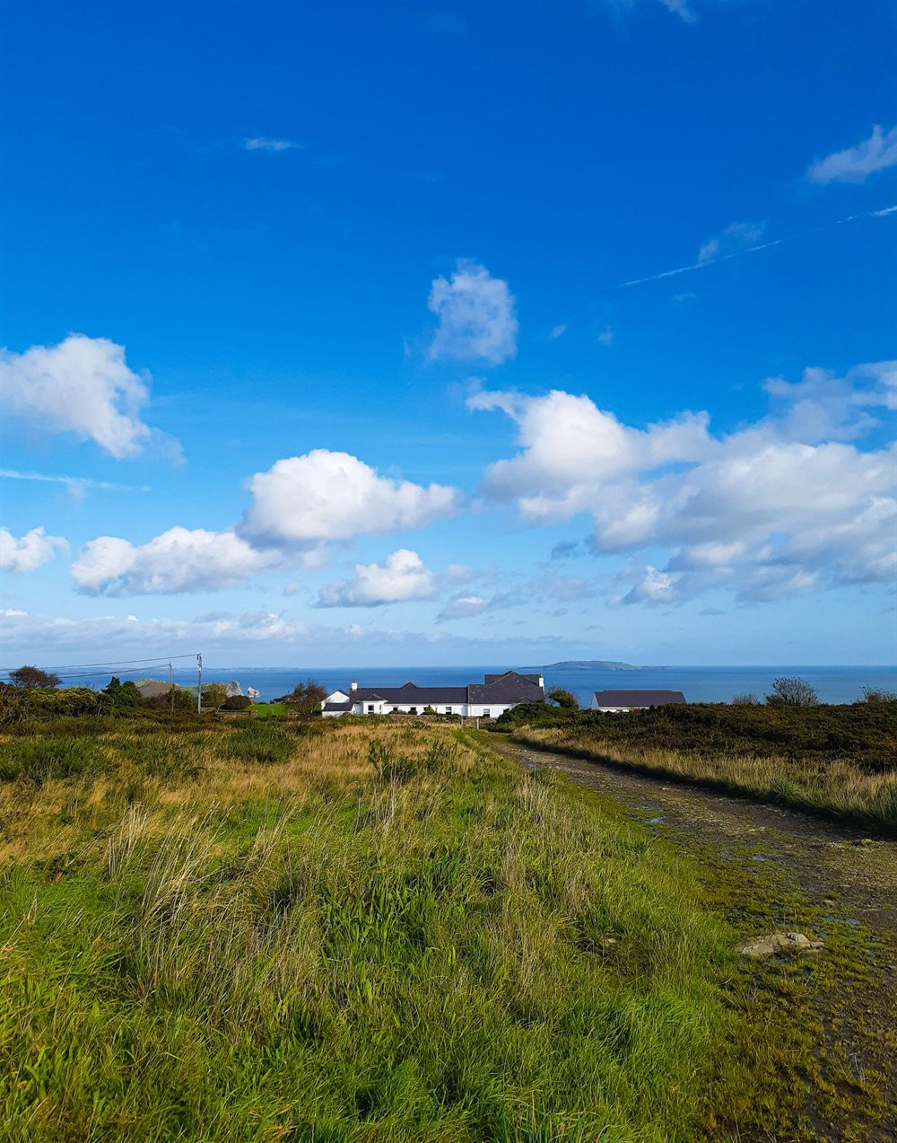 Green Irish fields and white houses by the sea