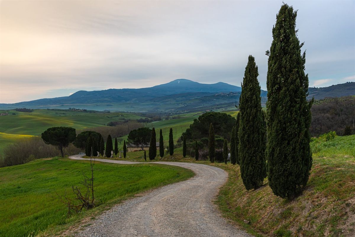 Gravel lane past cypress trees in Tuscany