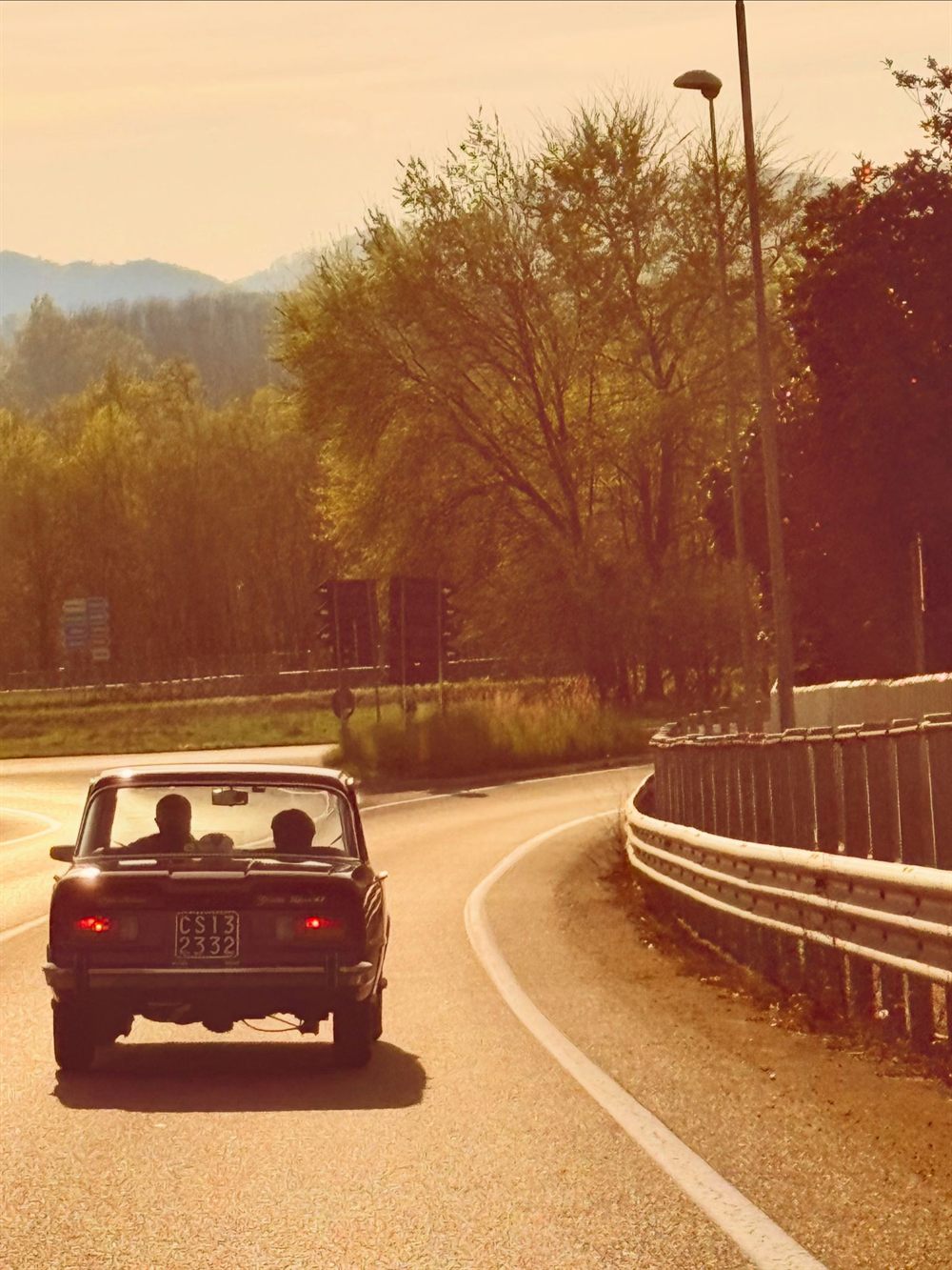 Vintage sedan on a tree-lined road